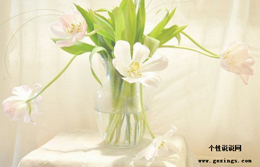 qq伤感心碎的心情短语(精选15句)