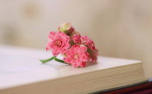 生活唯美的正能量语录短语(精选21句)