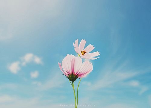 关于爱情的个性签名 时光带不走我们的心,其实我(精选39句)
