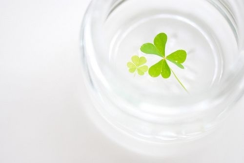 经典爱情短语 我们大家都要好好的，永远都要好(精选27句)