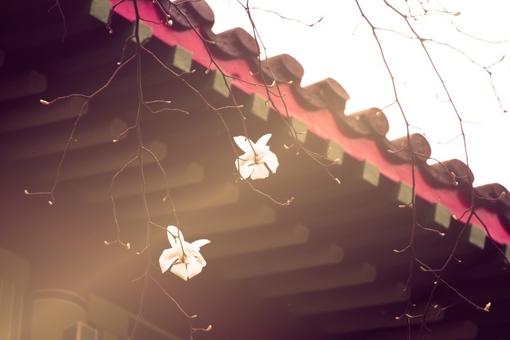 qq个性签名经典语句 我在他身上发现了你的影子(精选18句)
