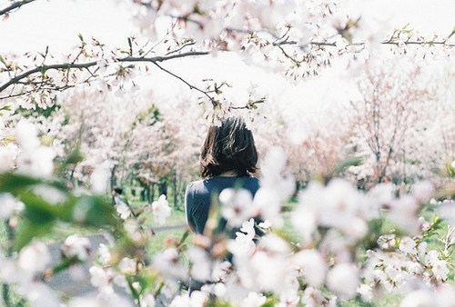 QQ唯美情感说说心情短语 即使我感到孤单，我也(精选16句)