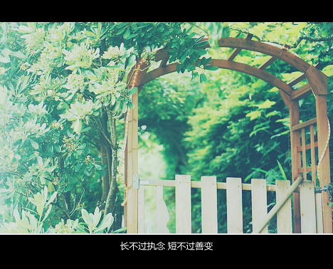 关于文字控的心情短语(精选9句)