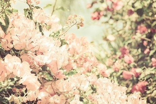 发朋友圈的治愈系经典句子(精选20句)