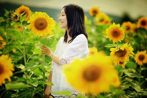 爱情名言名句摘抄(精选24句)