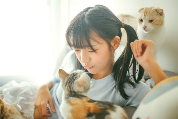 对自己喜欢的人留言句子(精选19句)