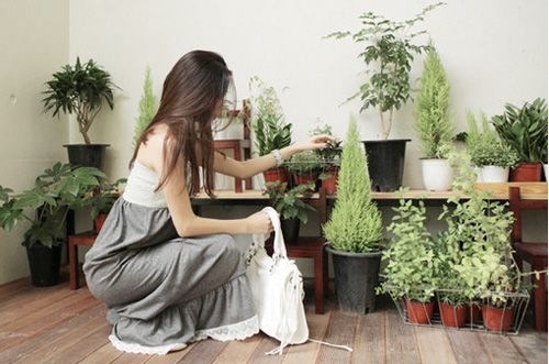 恋爱中人宛如智障，失恋的人们却像极了诗人(精选19句)