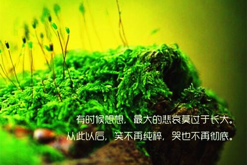 关于心情伤心的句子(精选20句)
