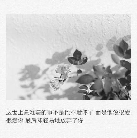 女生伤感的QQ空间留言句子(精选24句)