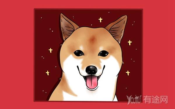 什么样的人适合学播音主持 报考需要哪些条件