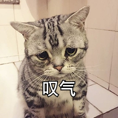 在手机上如何识别表格？6步教你轻松识别表格