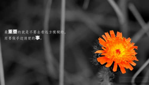大年初二回娘家祝福语 2021大年初二吉利祝福大全