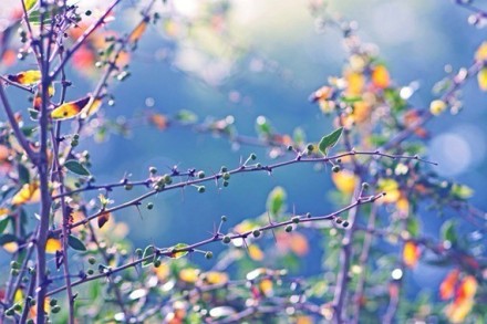 伤感心碎的句子(精选14句)