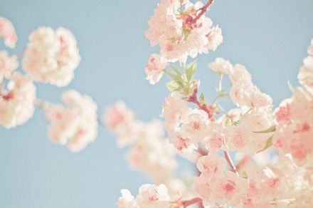 悲伤的个性签名女生(精选30句)