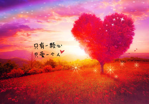 2021双十一疯狂购物的幽默说说 11.11经典剁手语句