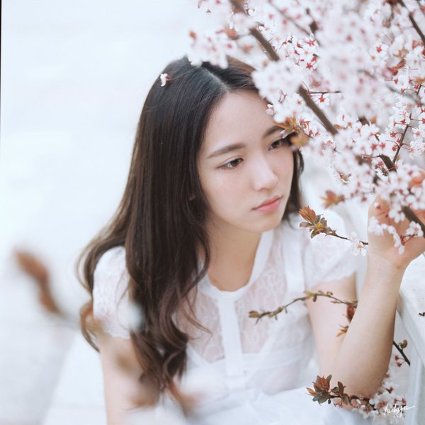 qq经典说说 世界是自己的，与他人毫无关系(精选15句)