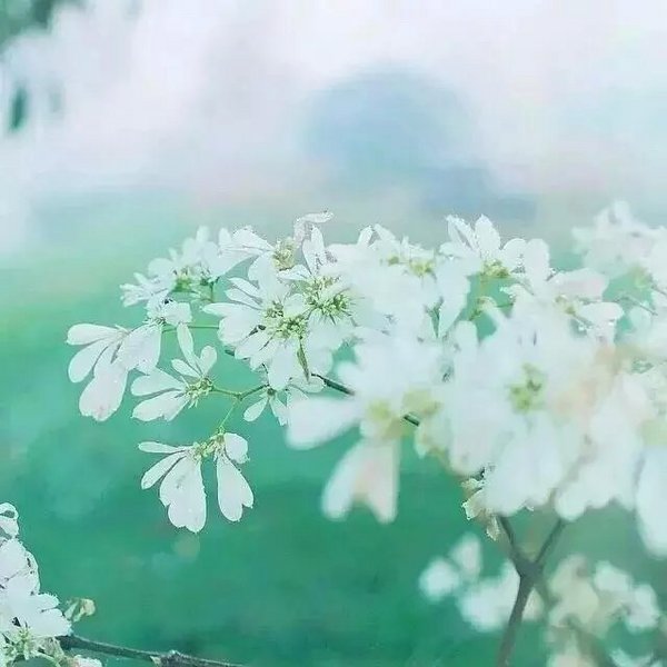 温暖心灵的一句话(精选11句)