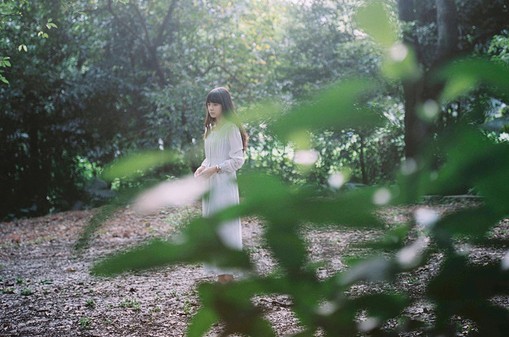 唯美古风句子(精选27句)