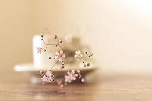 形容感触很深的句子 往事如烟随风逝，也习惯了(精选15句)