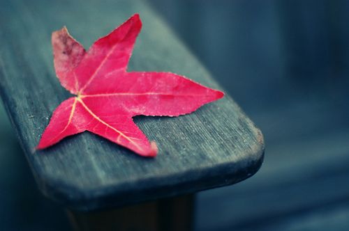 发微信朋友圈搞笑的句子(精选41句)