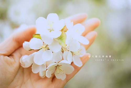 关于珍惜时间的句子(精选22句)