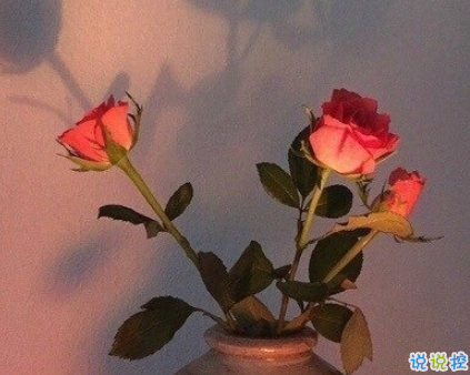 微信说说正能量话(精选42句)