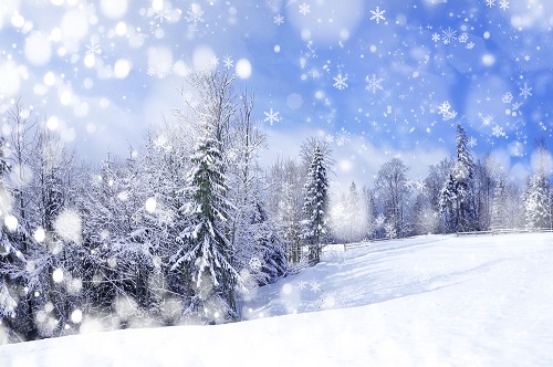 描写雪景的优美的段落(精选27句)