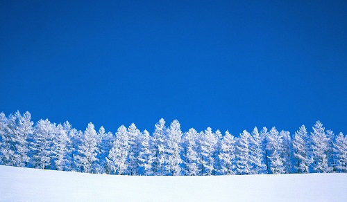 描写冬天雪景的段落(精选21句)