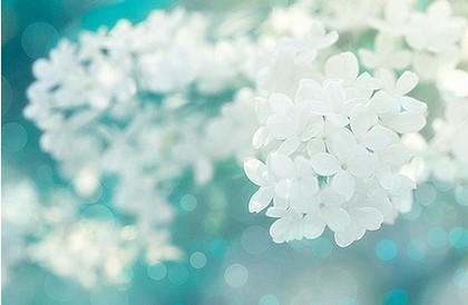 关于雪景的句子(精选18句)