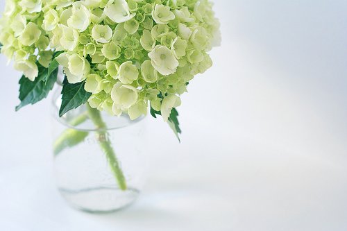 有关于做人的经典语句(精选24句)