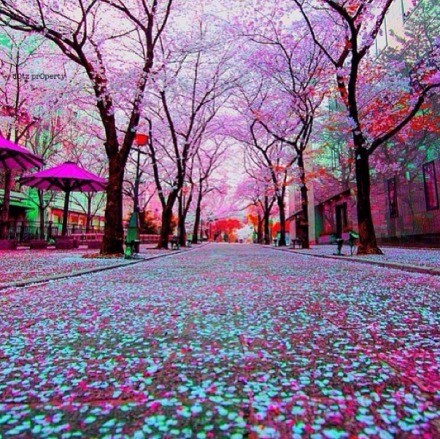 描写伤心的句子 太过在乎，反而是一种错(精选28句)