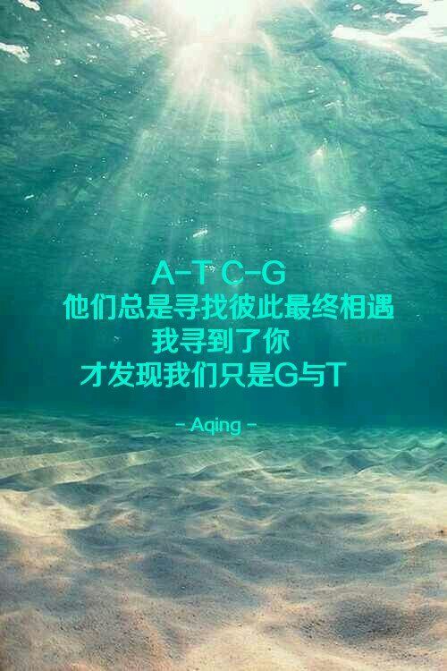 带字的伤感说说图片大全(精选15句)