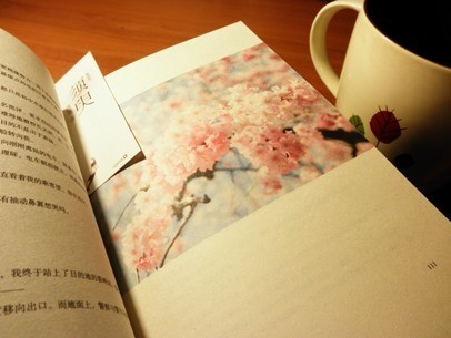 描写青春的伤感句子(精选21句)