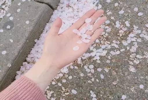 青春心语：年轻是我们唯一拥有权利去编织梦想(精选20句)