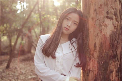 伤心欲绝的诗句(精选19句)