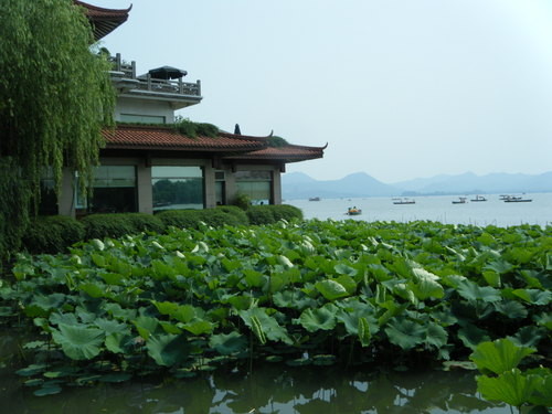 描写西湖的诗句(精选42句)