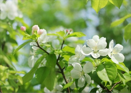伤心唯美的爱情说说 请在你的路上等我，我们终(精选18句)