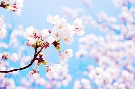 有时候，这才是一种幸福(精选6句)