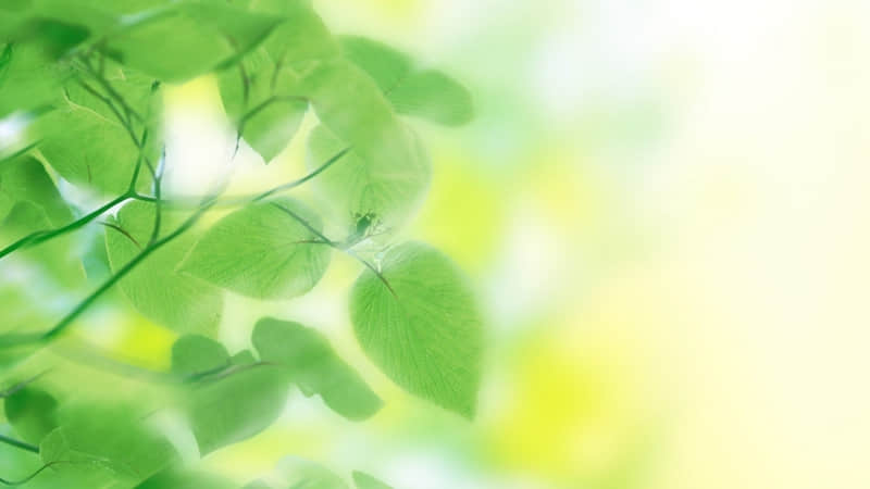 早安朋友圈高质量句子问候(精选15句)