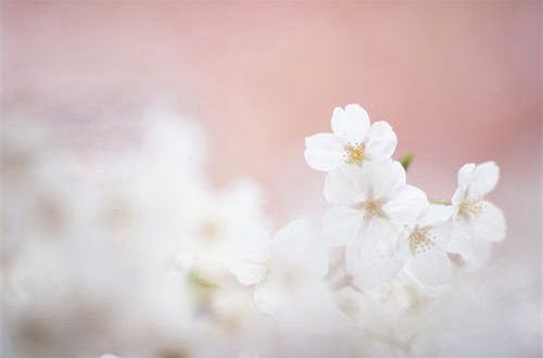 起床甜蜜情话短句 清晨情话最暖心短句(精选52句)