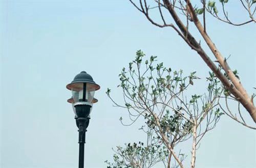 被孩子感动的心情语录 被孩子感动的幸福句子(精选30句)