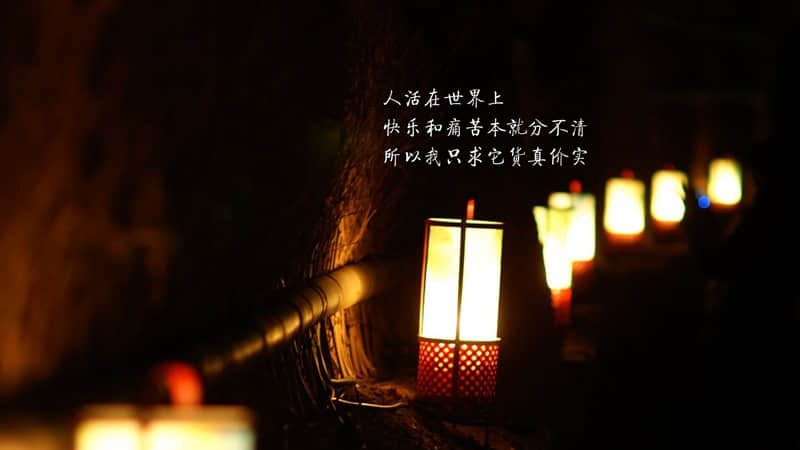 一个人一路走来的辛酸句子(精选28句)