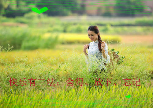 打工人有趣的早安问候文案 早安打工人(精选21句)