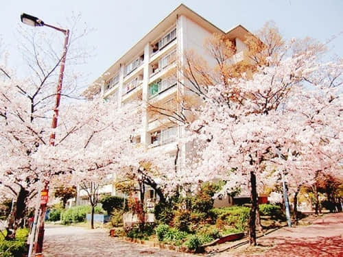 适合520情人节的沙雕文案 2020独自过520的搞笑说说