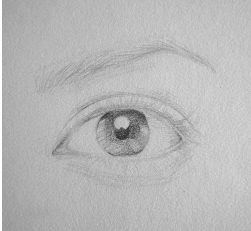 素描眼睛临摹图片