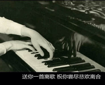 朋友圈创意搞笑文案 沙雕女孩个性说说(精选19句)