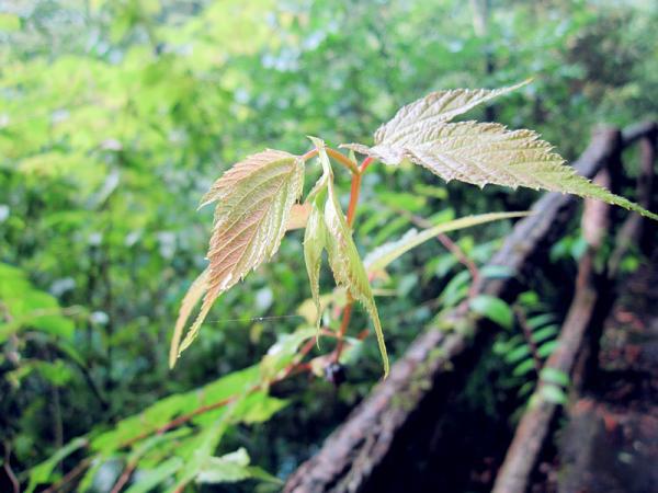 人生哲言经典语句大全(精选33句)