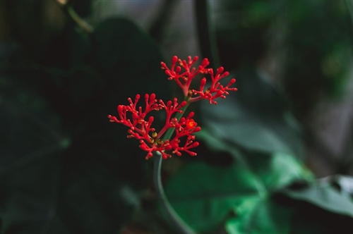心情说说感悟生活 压抑憋屈的心情说说(精选47句)