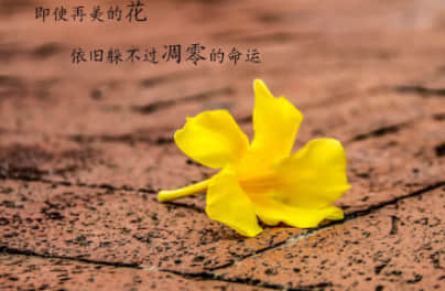 逗女生的搞笑幽默句子 撩妹幽默风趣的句子大全(精选20句)
