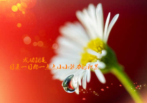 内涵搞笑的话(精选57句)